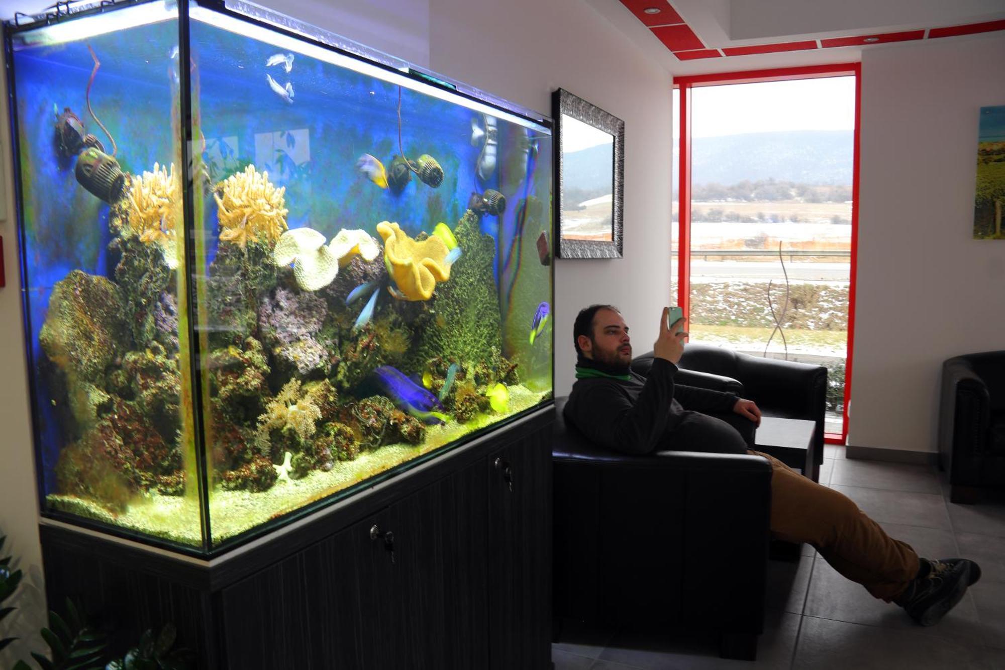 Top Hotel Vertesszolos المظهر الخارجي الصورة